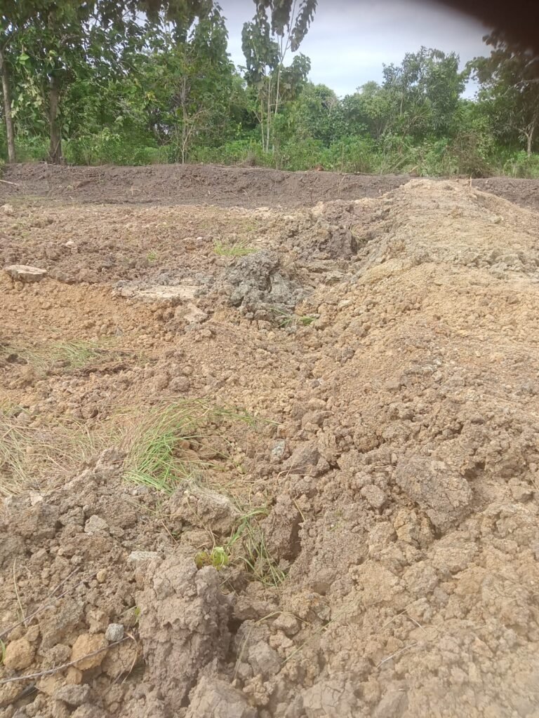 6fb5352b-b152-43b5-9c1a-64bc815bb951